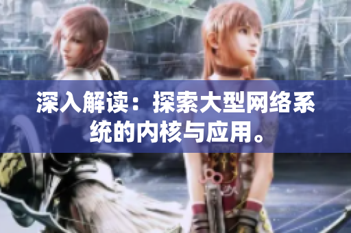 深入解读：探索大型网络系统的内核与应用。
