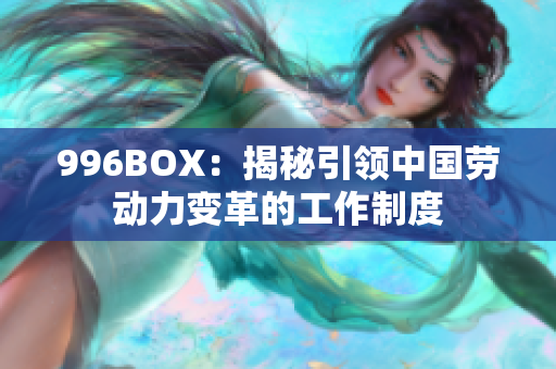 996BOX：揭秘引领中国劳动力变革的工作制度
