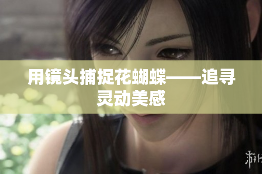 用镜头捕捉花蝴蝶——追寻灵动美感