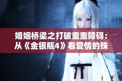 婚姻桥梁之打破重重障碍：从《金银瓶4》看爱情的殊途同归