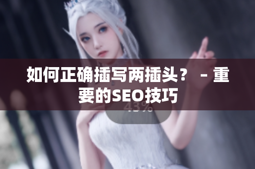 如何正确插写两插头？ – 重要的SEO技巧