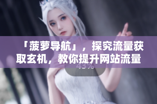「菠萝导航」，探究流量获取玄机，教你提升网站流量！