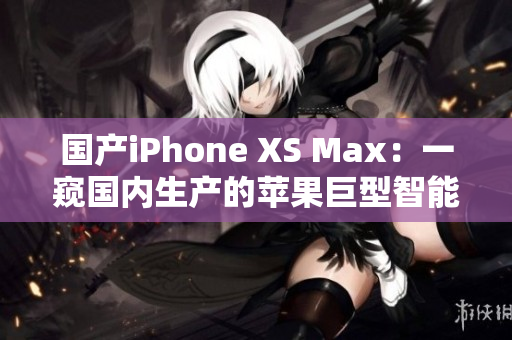 国产iPhone XS Max：一窥国内生产的苹果巨型智能手机