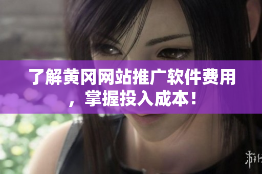 了解黄冈网站推广软件费用，掌握投入成本！