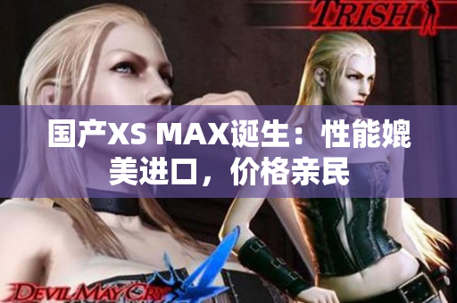 国产XS MAX诞生：性能媲美进口，价格亲民