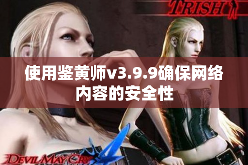 使用鉴黄师v3.9.9确保网络内容的安全性