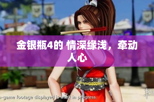 金银瓶4的 情深缘浅，牵动人心
