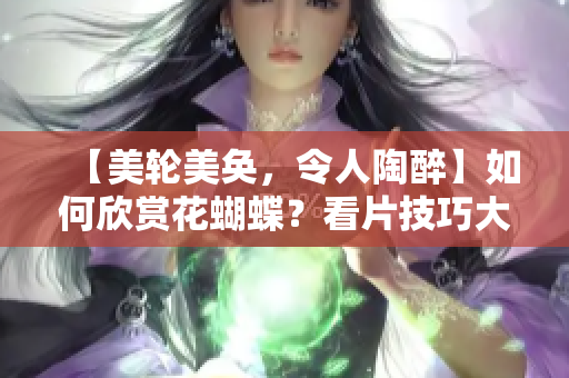 【美轮美奂，令人陶醉】如何欣赏花蝴蝶？看片技巧大揭秘！