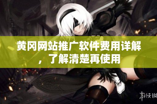 黄冈网站推广软件费用详解，了解清楚再使用