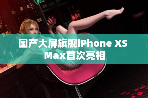 国产大屏旗舰iPhone XS Max首次亮相