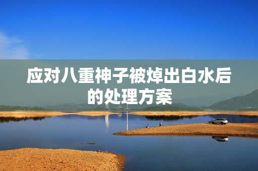 应对八重神子被焯出白水后的处理方案