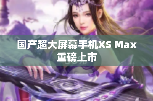国产超大屏幕手机XS Max重磅上市