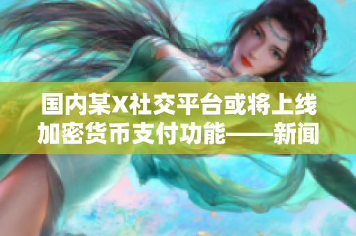 国内某X社交平台或将上线加密货币支付功能——新闻报道
