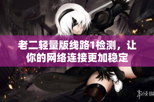 老二轻量版线路1检测，让你的网络连接更加稳定