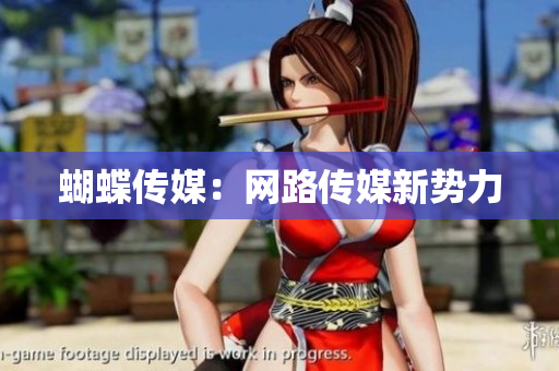 蝴蝶传媒：网路传媒新势力