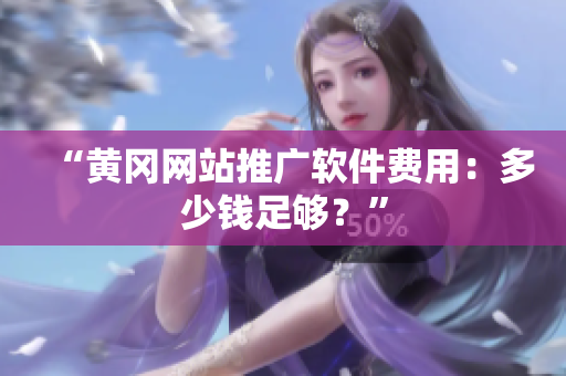 “黄冈网站推广软件费用：多少钱足够？”