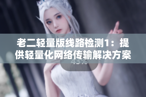 老二轻量版线路检测1：提供轻量化网络传输解决方案