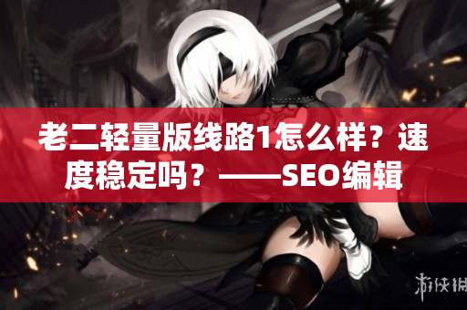 老二轻量版线路1怎么样？速度稳定吗？——SEO编辑