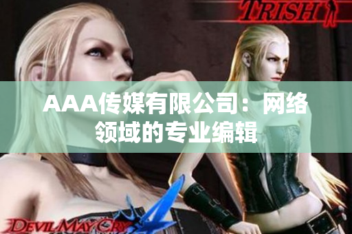 AAA传媒有限公司：网络领域的专业编辑