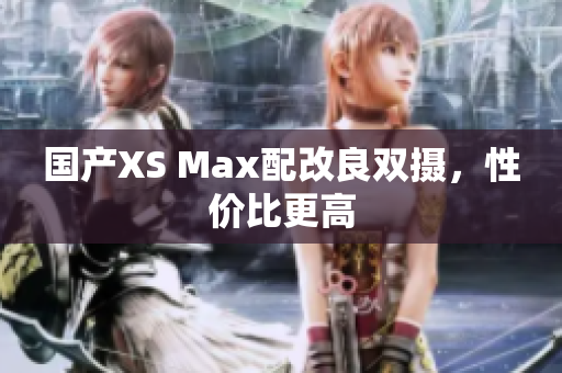 国产XS Max配改良双摄，性价比更高