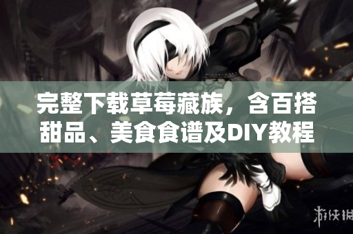 完整下载草莓藏族，含百搭甜品、美食食谱及DIY教程