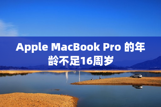 Apple MacBook Pro 的年龄不足16周岁