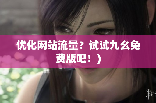 优化网站流量？试试九幺免费版吧！)