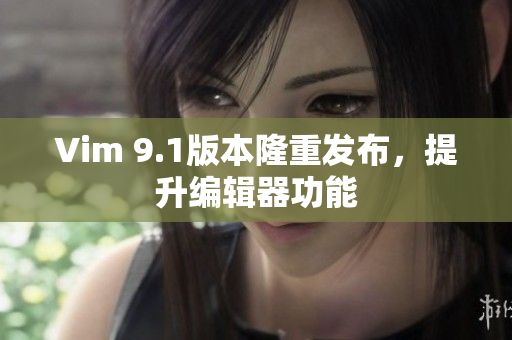 Vim 9.1版本隆重发布，提升编辑器功能