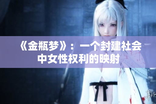 《金瓶梦》：一个封建社会中女性权利的映射