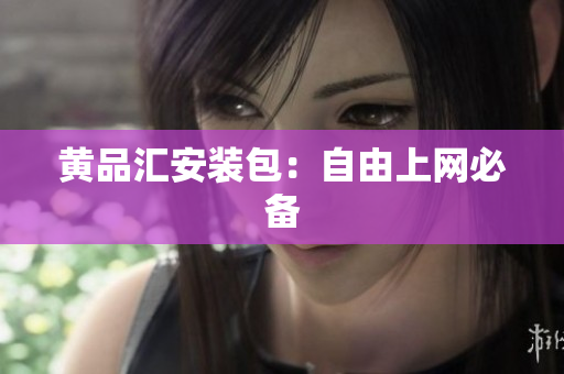 黄品汇安装包：自由上网必备