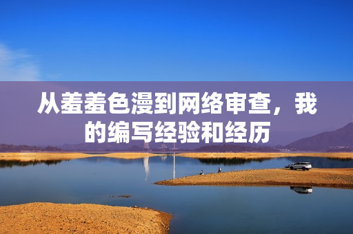 从羞羞色漫到网络审查，我的编写经验和经历