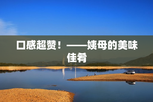 口感超赞！——姨母的美味佳肴