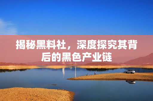 揭秘黑料社，深度探究其背后的黑色产业链