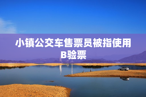 小镇公交车售票员被指使用B验票