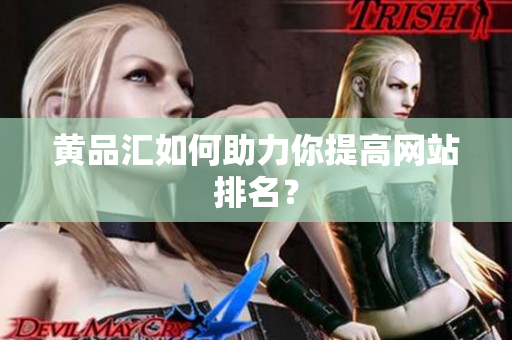 黄品汇如何助力你提高网站排名？