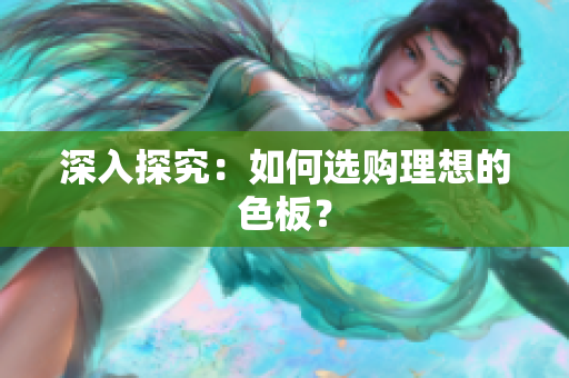 深入探究：如何选购理想的色板？
