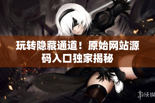 玩转隐藏通道！原始网站源码入口独家揭秘