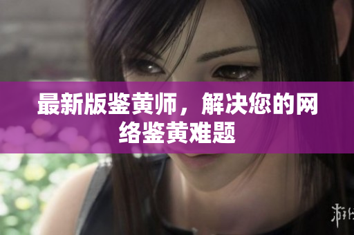 最新版鉴黄师，解决您的网络鉴黄难题