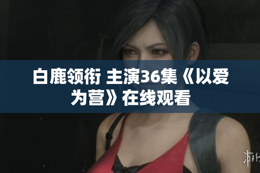 白鹿领衔 主演36集《以爱为营》在线观看