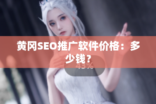 黄冈SEO推广软件价格：多少钱？