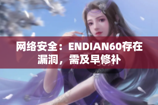 网络安全：ENDIAN60存在漏洞，需及早修补