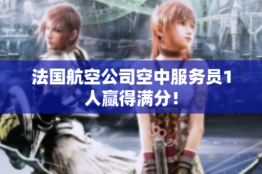 法国航空公司空中服务员1人赢得满分！