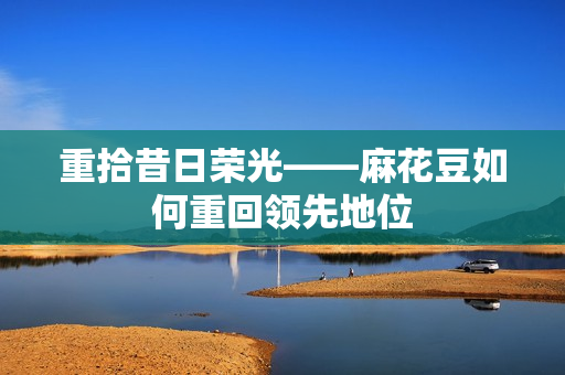 重拾昔日荣光——麻花豆如何重回领先地位