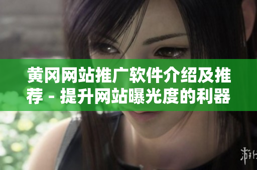 黄冈网站推广软件介绍及推荐 - 提升网站曝光度的利器