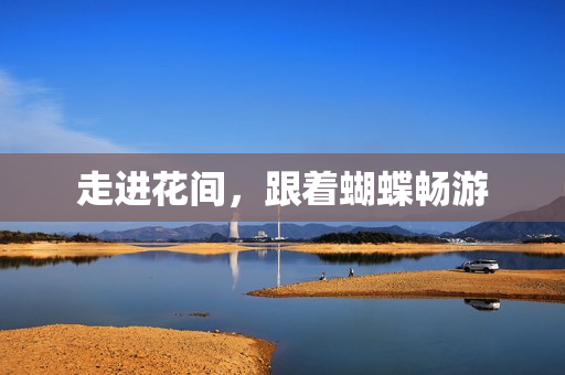 走进花间，跟着蝴蝶畅游