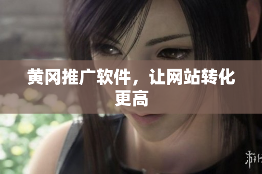 黄冈推广软件，让网站转化更高