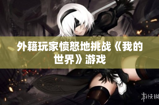 外籍玩家愤怒地挑战《我的世界》游戏