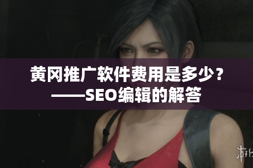 黄冈推广软件费用是多少？——SEO编辑的解答