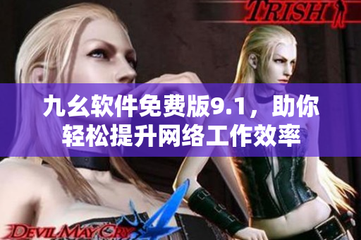 九幺软件免费版9.1，助你轻松提升网络工作效率