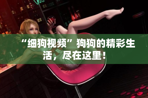 “细狗视频”狗狗的精彩生活，尽在这里！